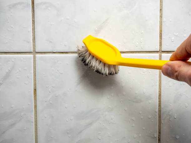 Best Mold Testing  in Apple Valley, OH