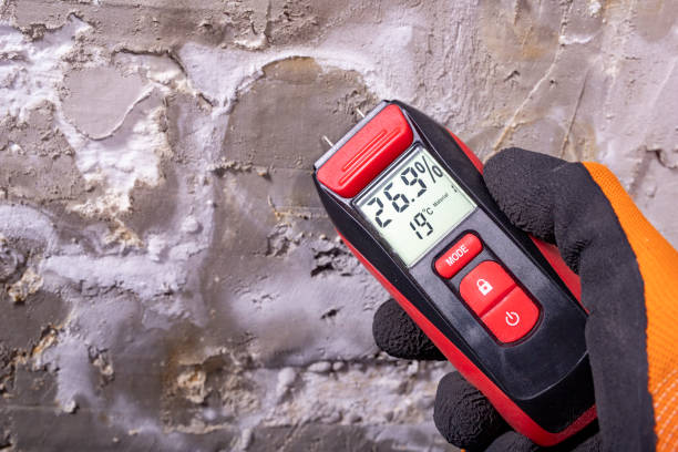Best Local Mold Removal Service  in Apple Valley, OH